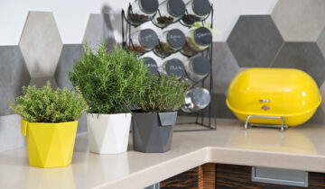 Domowe zioła na jesienną chandrę