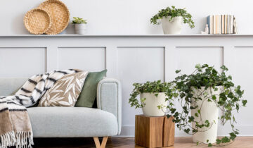 Roślinne pomysły na świąteczne prezenty