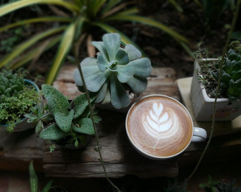 przekładka_kawa-min