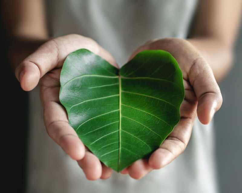 przekładka_recycled-min