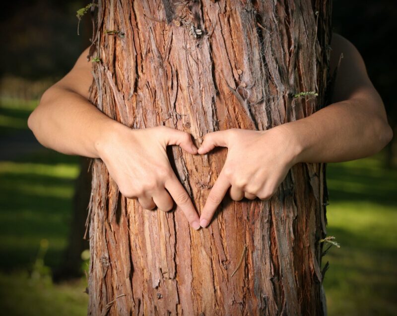 przekładka_wood-min