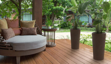 Domowe rośliny na balkonie – kilka podpowiedzi