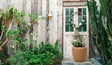 Śródziemnomorski klimat na balkonie