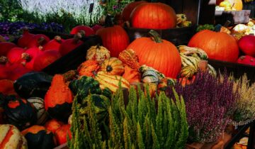 Jesienny sezon na balkonie