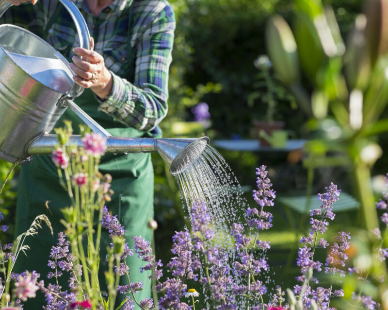 Gardening,Woman,Watering,The,Flowers,In,Garden
