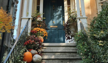 Wybrane rośliny na Halloween