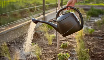 Wykorzystujmy wodę deszczową