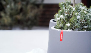 Doniczki Lameli – te z czerwonym paskiem