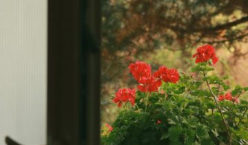 Jak urządzić mały balkon w bloku ze skrzynkami Lamela?